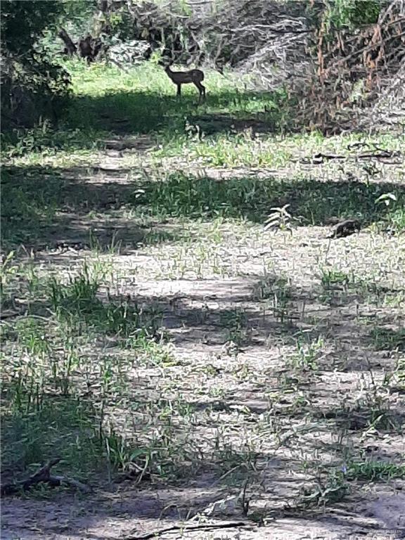 22417 Carrizales Road, Unit SERVICE Edinburg, TX 78542 - Photo 26 of 28 a view of a lake view