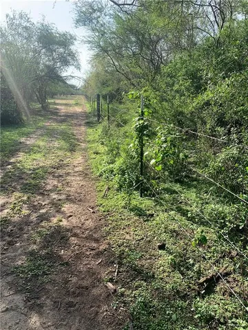 $305,000 | 22417 Carrizales Road, Unit SERVICE, Edinburg, TX 78542