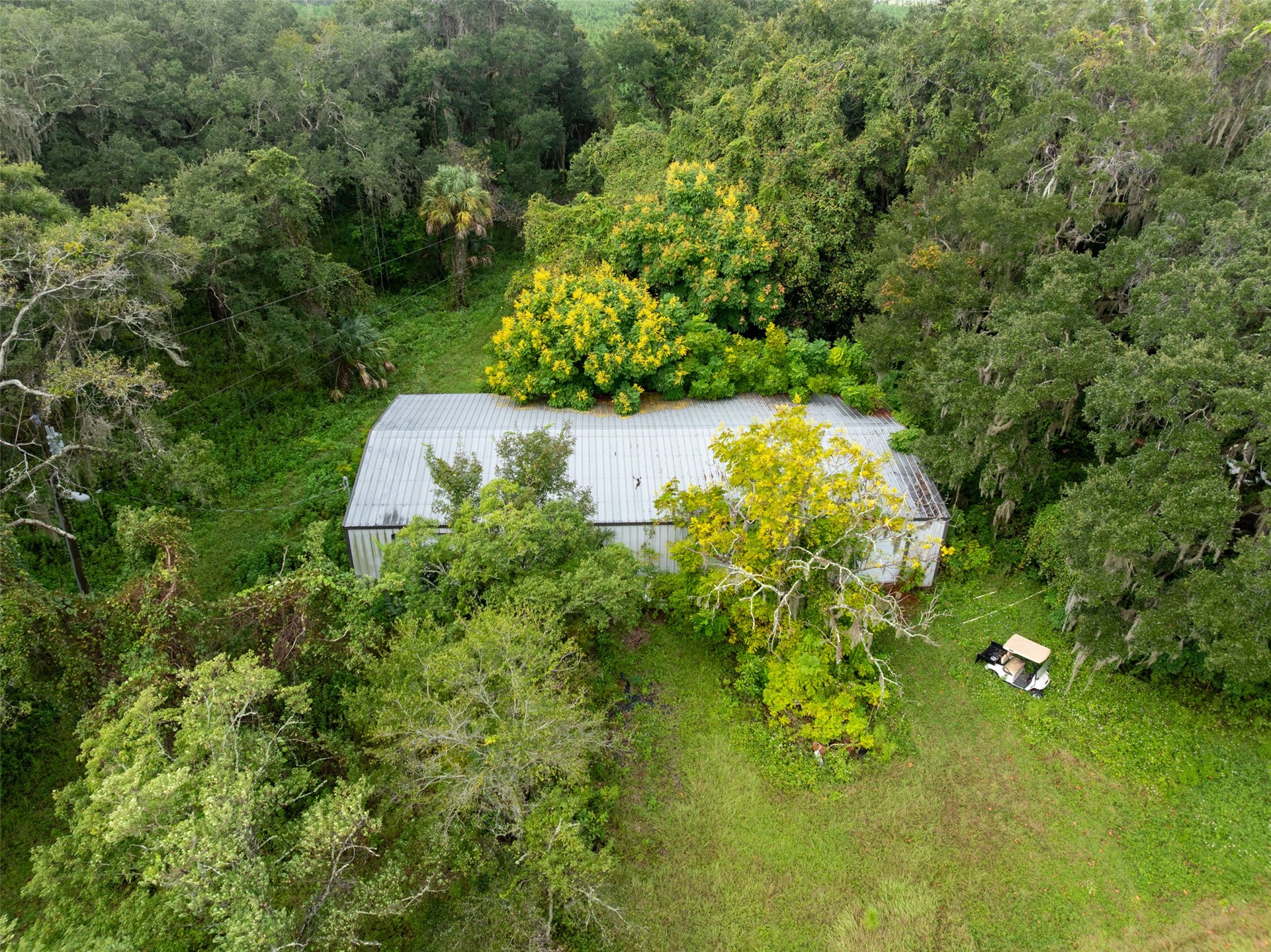 0 Sawpit Road Jacksonville, FL 32226 - Photo 12 of 13 a view of a garden with a tree