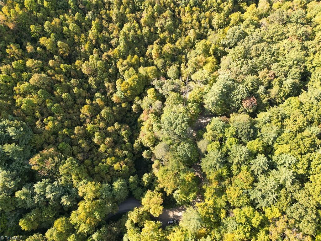 0 Orchard Road Deep Gap, NC 28618 - Photo 19 of 19