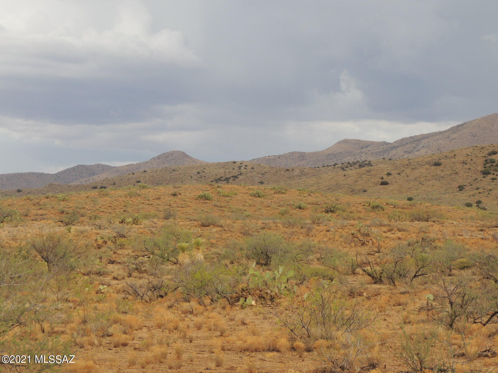 40.82 Acres Mulkins Ranch Road, Unit 11 Bowie, AZ 85605 - Photo 5 of 17