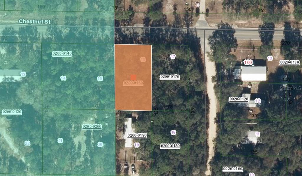 113 Chestnut Street Interlachen, FL 32148 - Photo 2 of 5 a picture of city view