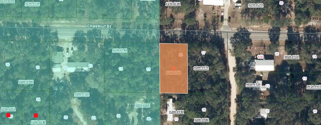 113 Chestnut Street Interlachen, FL 32148 - Photo 3 of 5 a bathroom with a shower