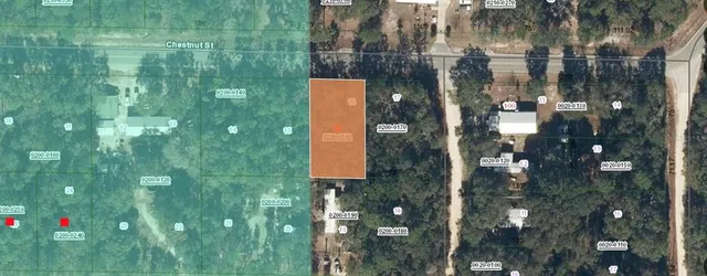 $8,450 | 113 Chestnut Street, Interlachen, FL 32148