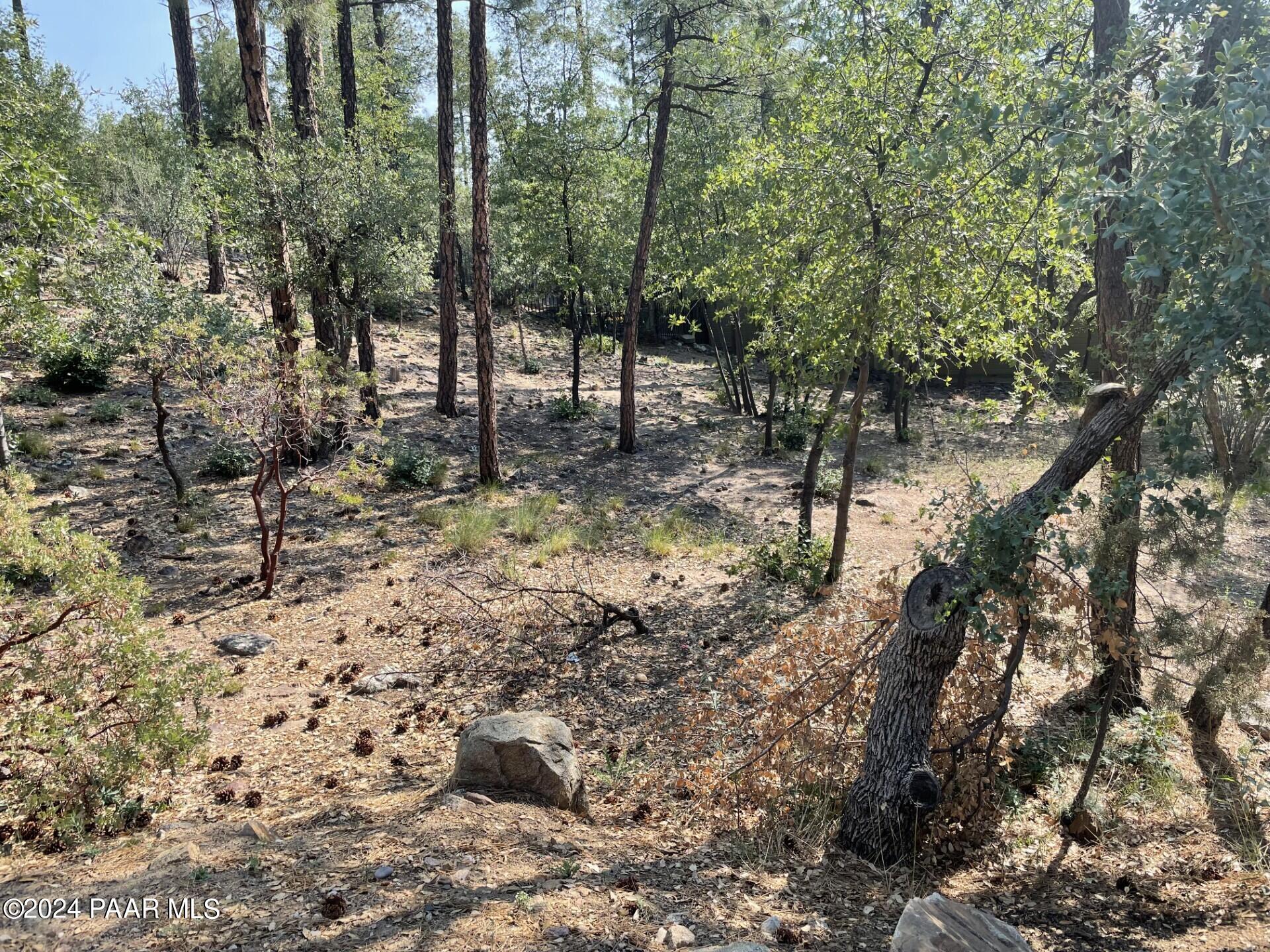 1180 West Timber Ridge Road Prescott, AZ 86303 - Photo 3 of 3 1180 W Timber Ridge