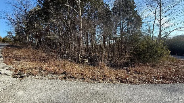 $7,500 | 0 Sassafras Drive, Hillsboro, MO 63050