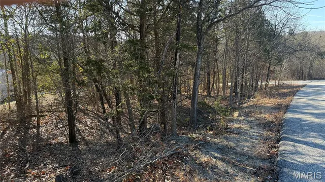 $7,500 | 0 Sassafras Drive, Hillsboro, MO 63050