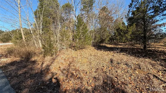 $7,500 | 0 Sassafras Drive, Hillsboro, MO 63050