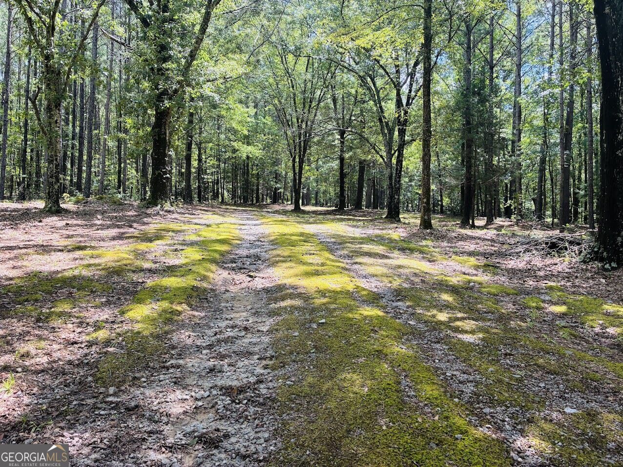 3889 Greenville Road LaGrange, GA 30241 - Photo 28 of 63 Gallery Image 28