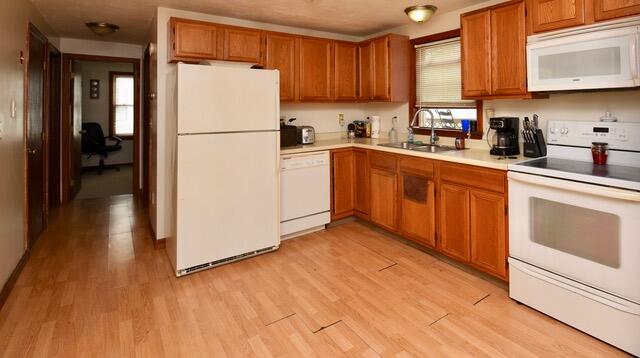 16 Boundary Way Kennebunk, ME 04043 - Photo 9 of 28 16 Boundary Way Kitchen and Hallway