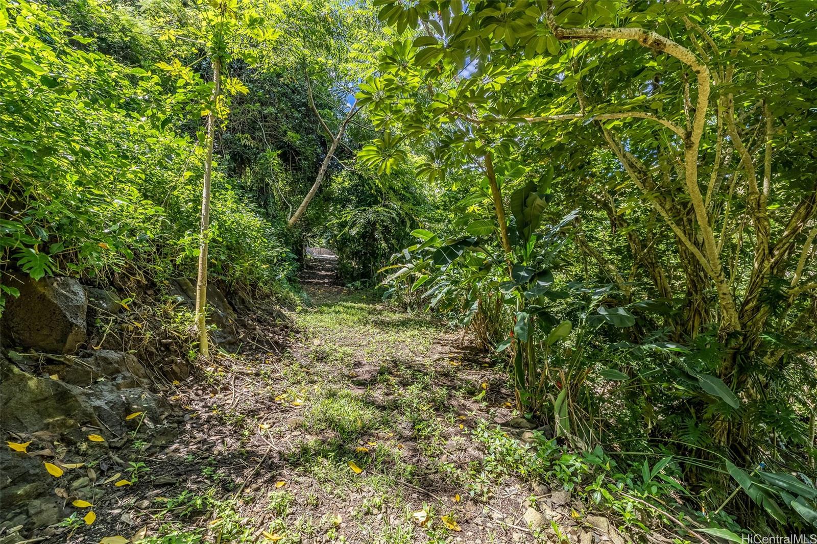 2640 Lai Road, Unit E Honolulu, HI 96816 - Photo 11 of 25 a view of a forest