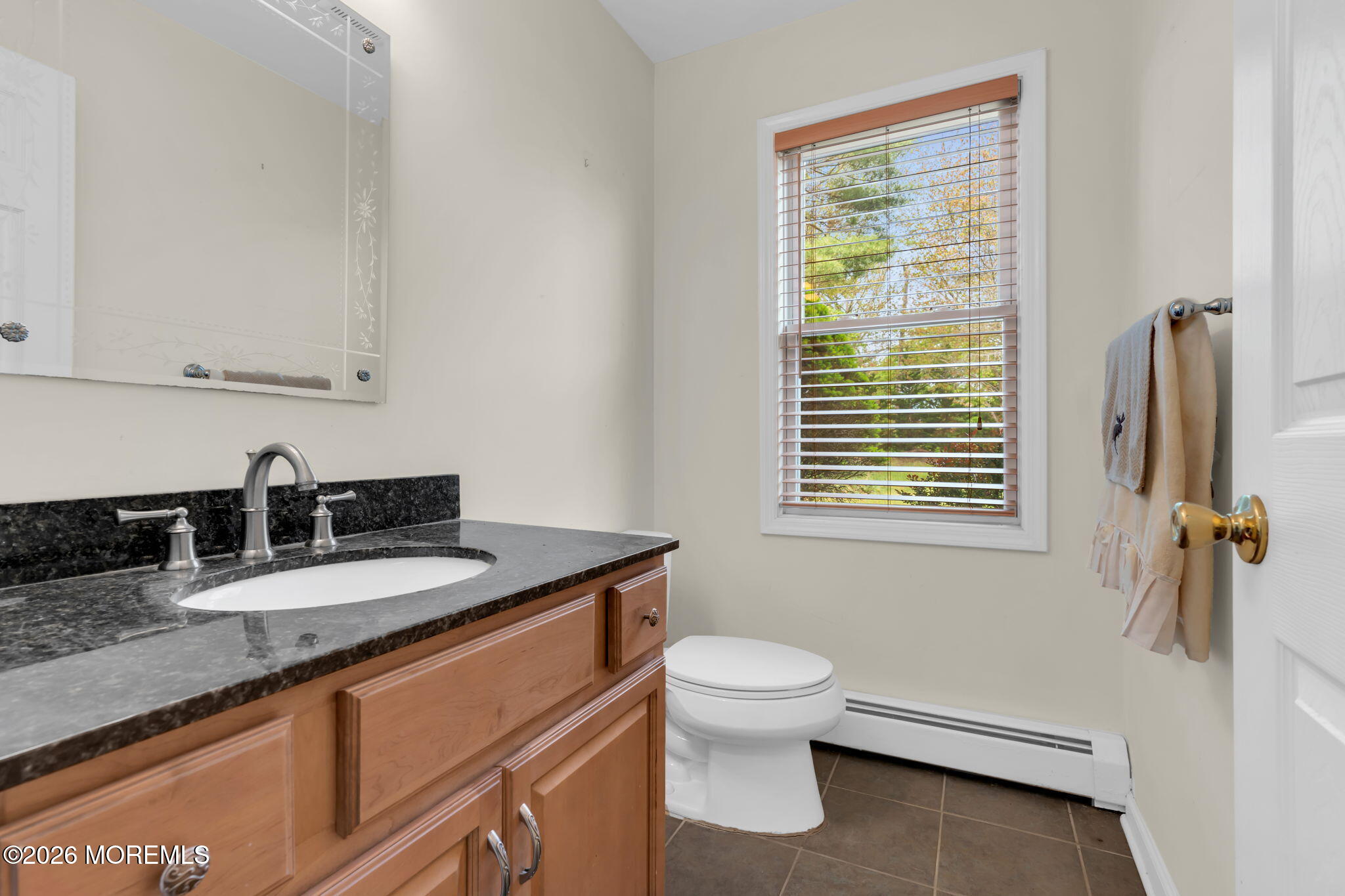 10 Daum Road Manalapan, NJ 07726 - Photo 41 of 53 32-web-or-mls-DSC05854