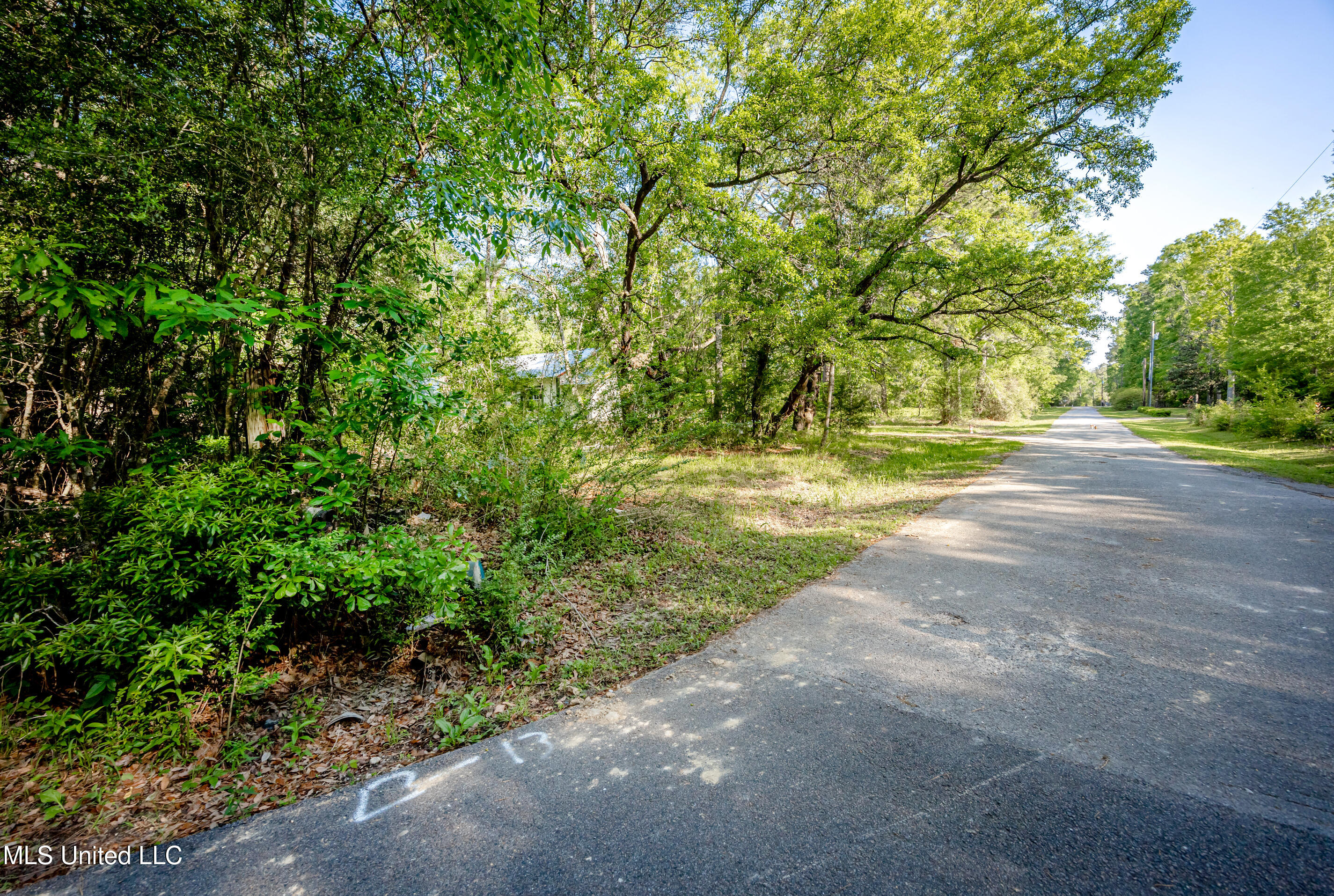 21521 Billy Johnson Road Moss Point, MS 39562 - Photo 54 of 63 IMG_7032