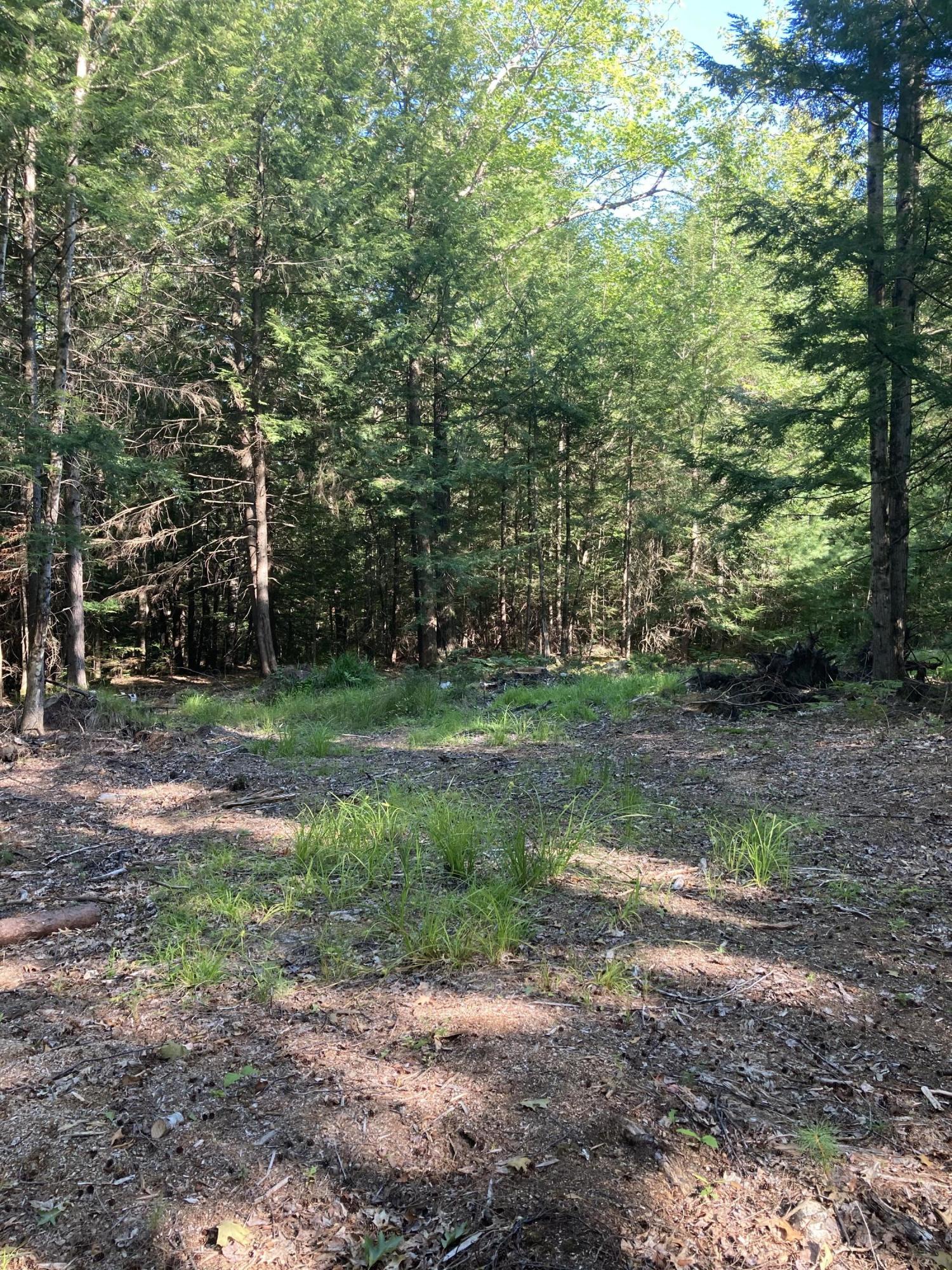 49 Forrest Edwards Road Otisfield, ME 04270 - Photo 3 of 5 Road