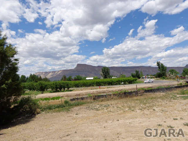 3551 E Road Palisade, CO 81526 - Photo 3 of 8 a view of a lake with houses
