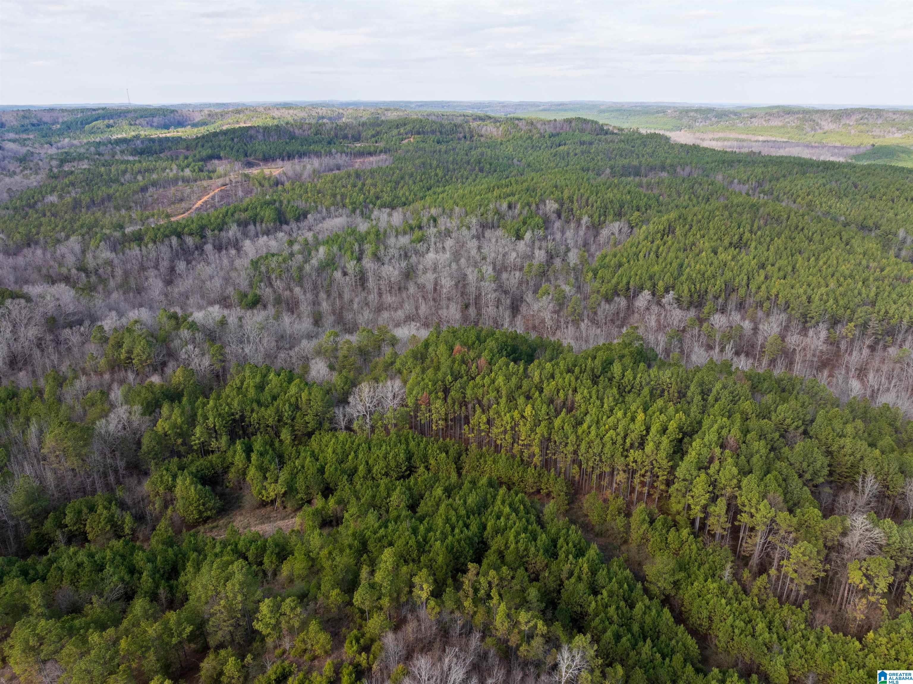 0 Red Hill Road, Unit 15 Oakman, AL 35579 - Photo 11 of 14