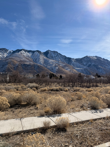 1664 North Dean Court, Unit 5 Alpine, UT 84004 - Photo 7 of 18