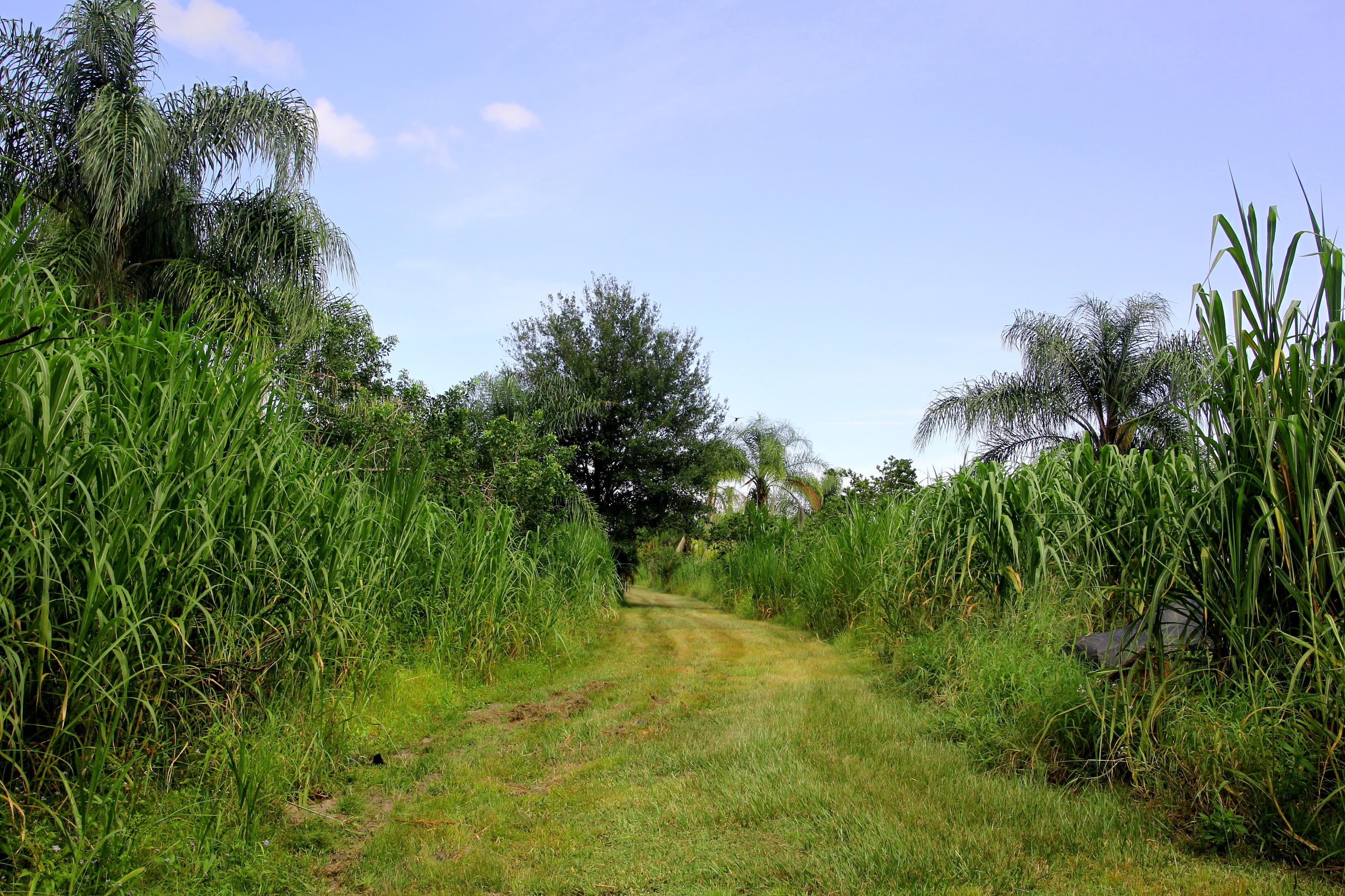 2950 South Brocksmith Road Fort Pierce, FL 34945 - Photo 14 of 45 Brocksmith Road9