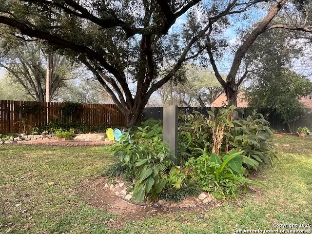 a view of backyard with table and chairs and a large tree