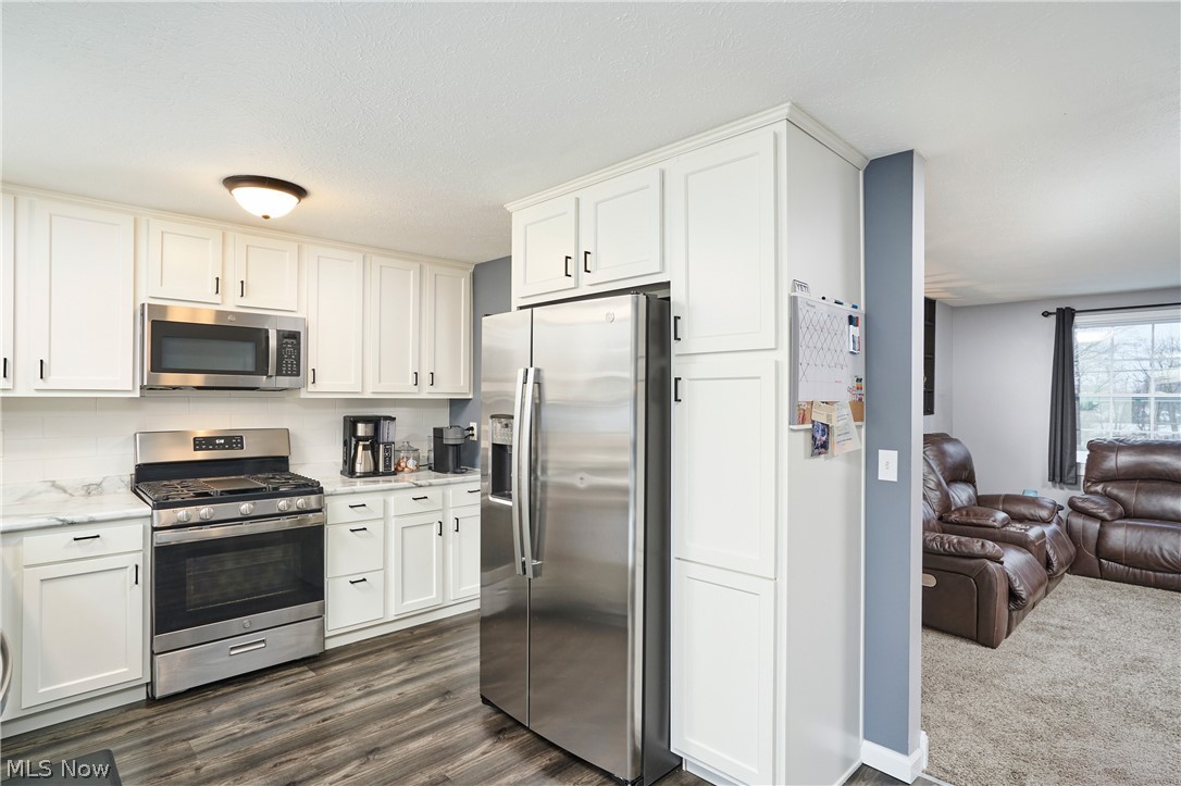 6300 South Cleveland Massillon Road Clinton, OH 44216 - Photo 6 of 22 Kitchen with stainless steel appliances, white cabinetry, LVP style flooring.