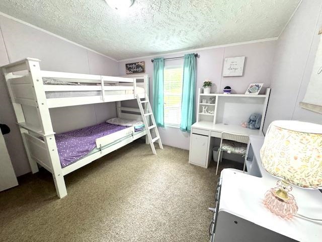 281 Craig Branch Road Olive Hill, KY 41164 - Photo 12 of 27