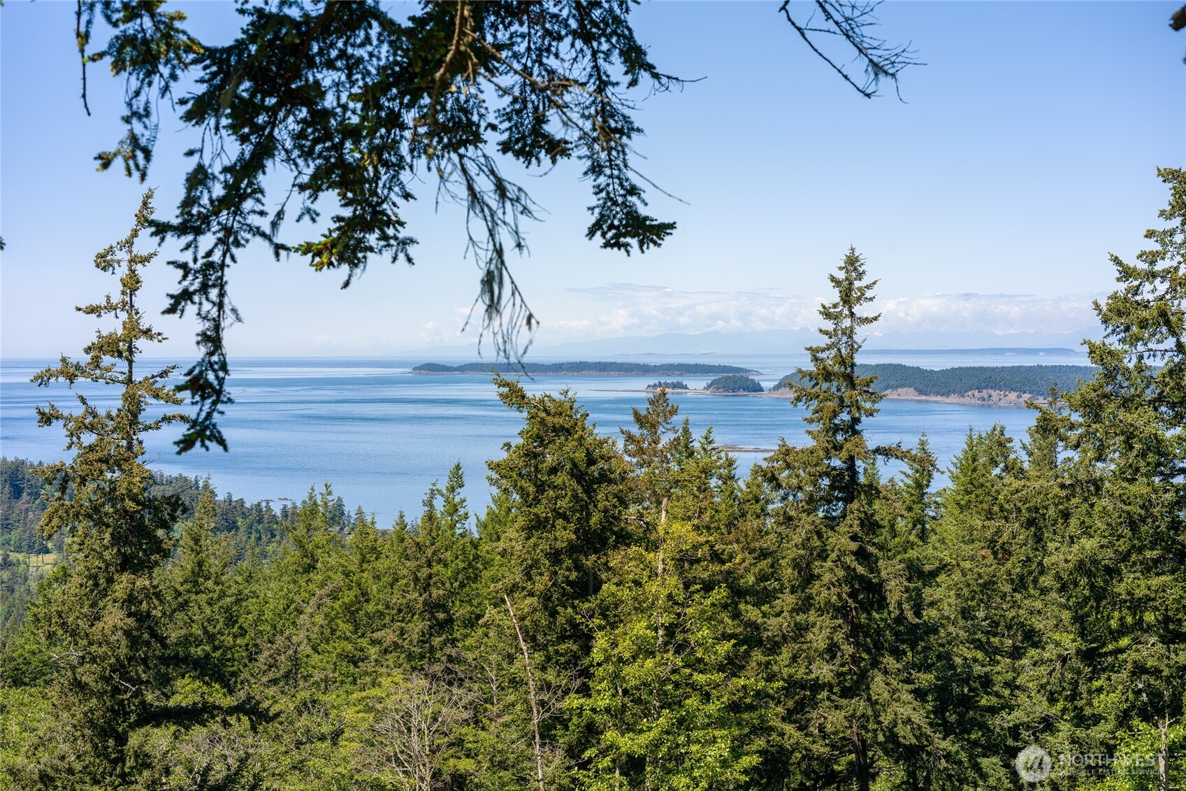 540 Wright Road Orcas Island, WA 98245 - Photo 4 of 40