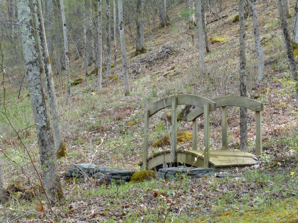 3123 River Road Arlington, VT 05250 - Photo 16 of 16 Gallery Image 16