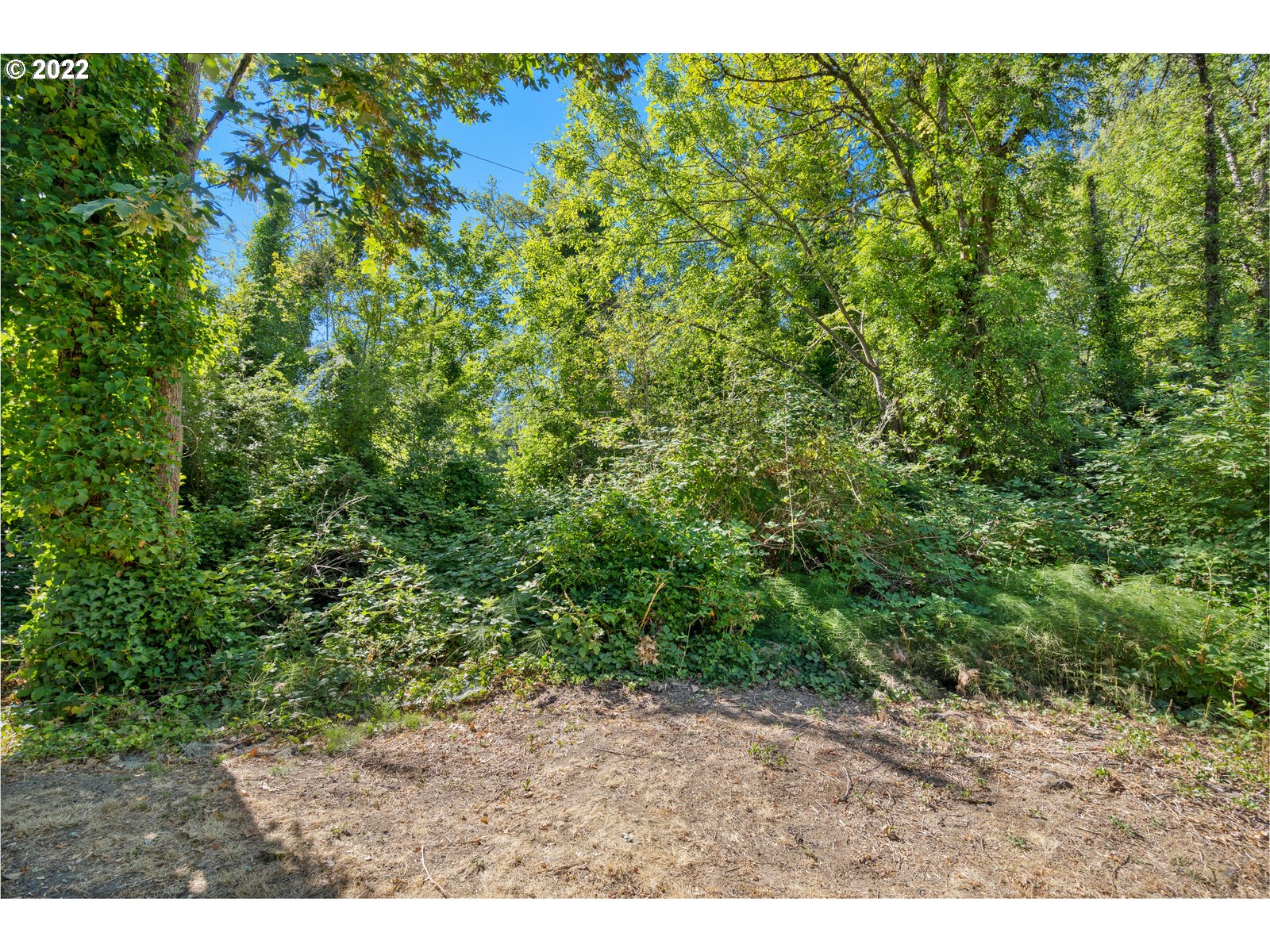 0 Southwest Oleson Road Portland, OR 97223 - Photo 18 of 20 Gallery Image 18