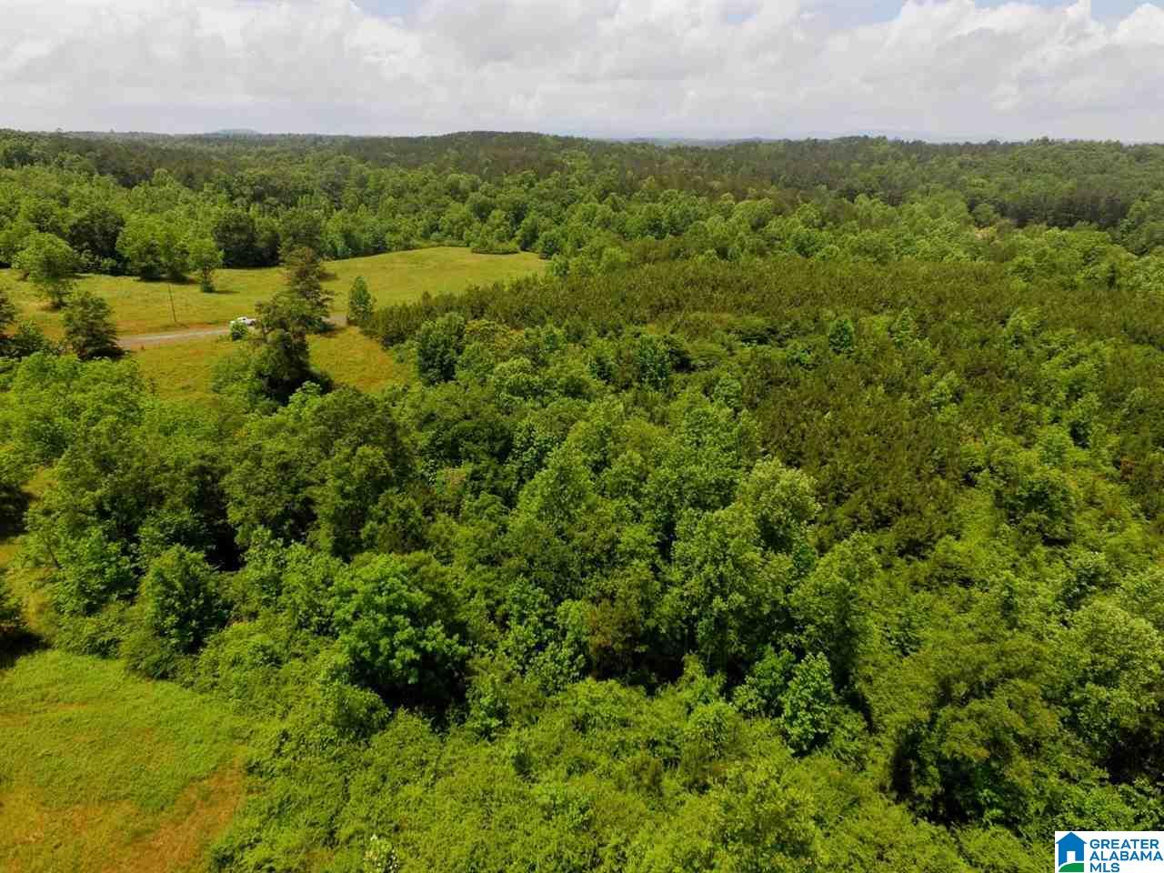 263 County Road, Unit 21 Lineville, AL 36266 - Photo 4 of 7