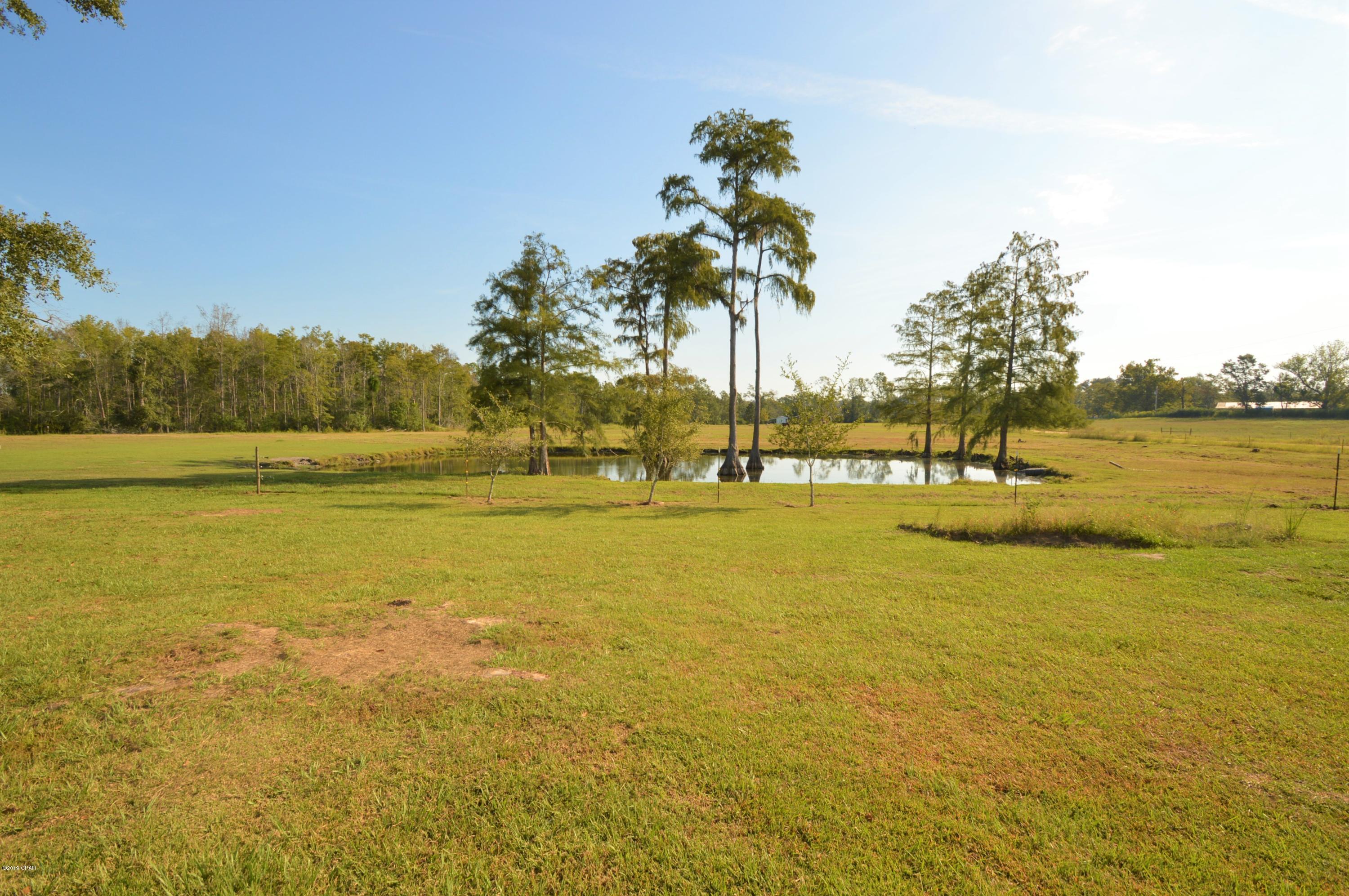 2416 Syfrett Road Cottondale, FL 32431 - Photo 24 of 38