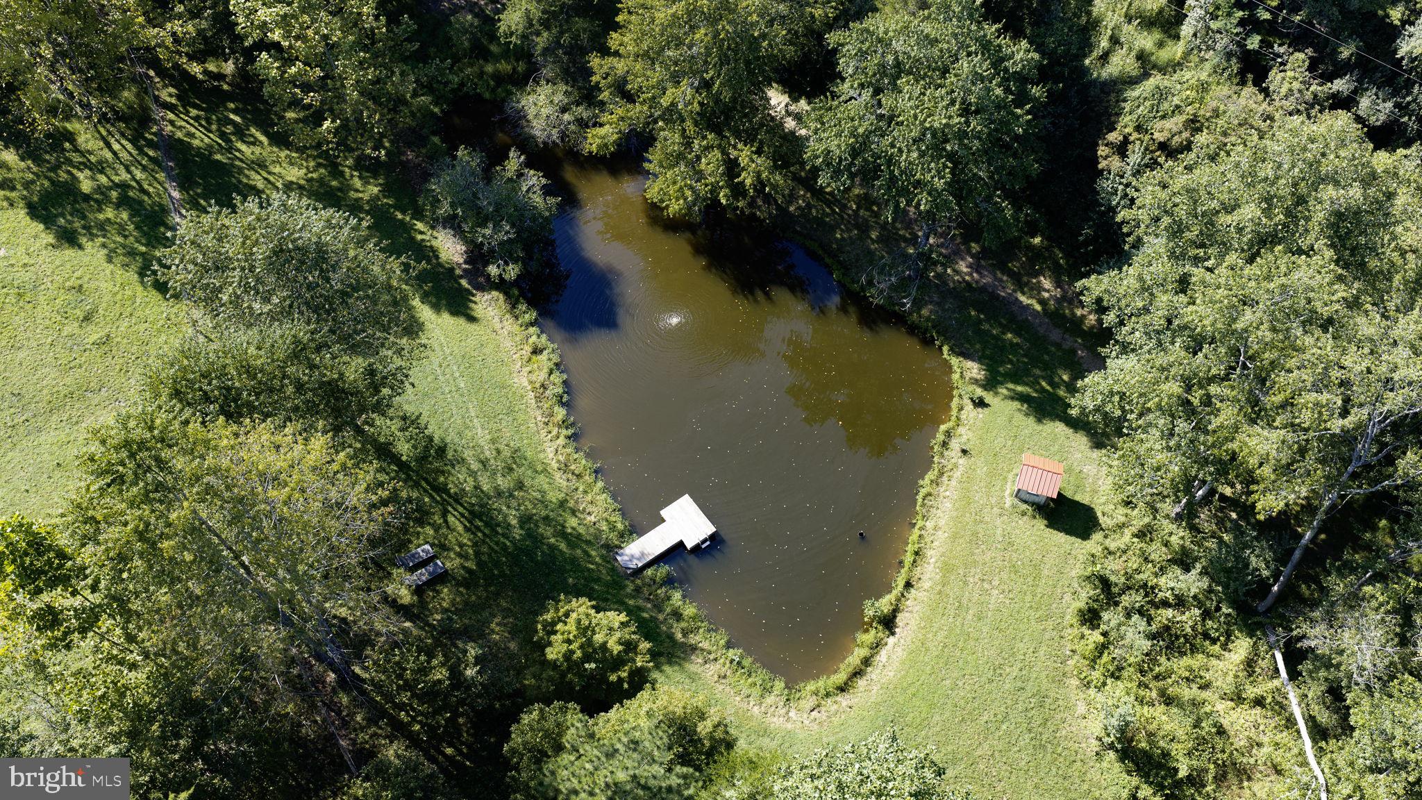 65 Dennis Road Castleton, VA 22716 - Photo 65 of 83 Enjoy Swimming or Fishing