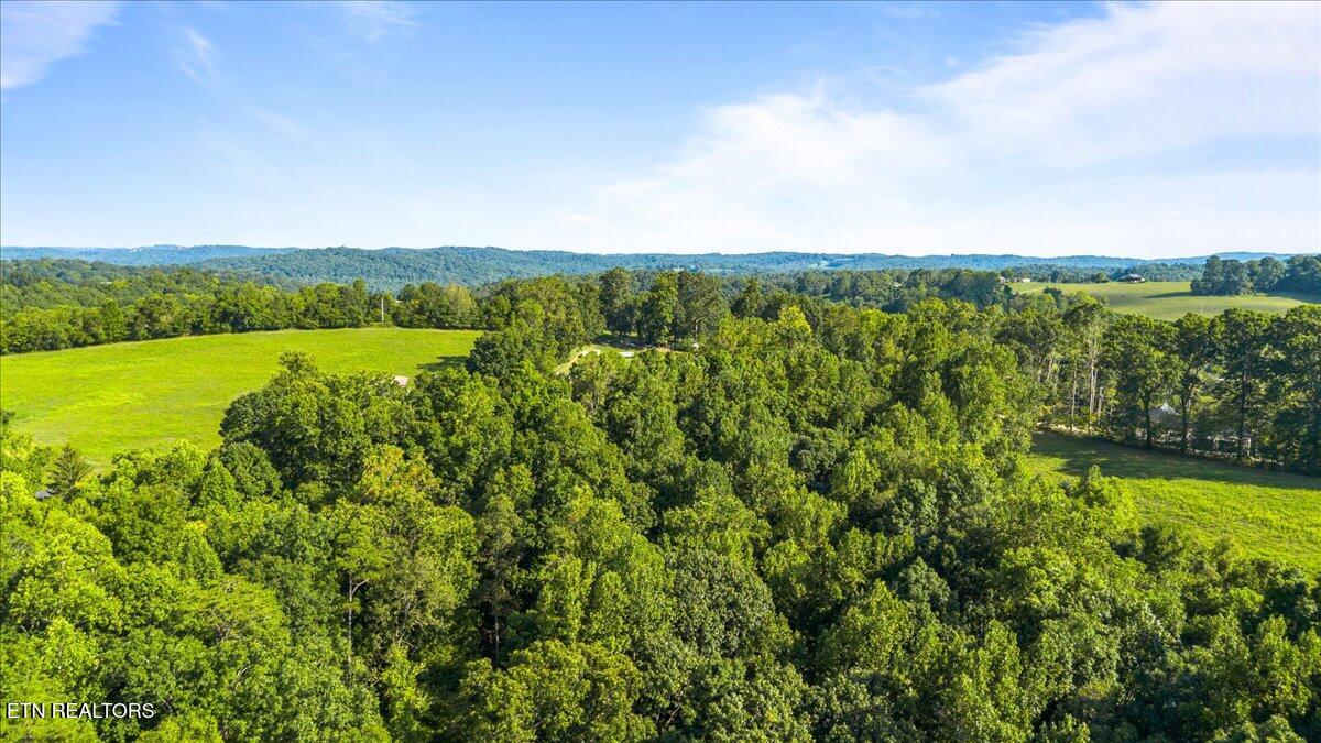 Murrayville Road La Follette, TN 37766 - Photo 11 of 14 11-Murrayville