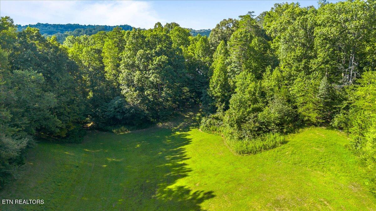 Murrayville Road La Follette, TN 37766 - Photo 12 of 14 12-Murrayville