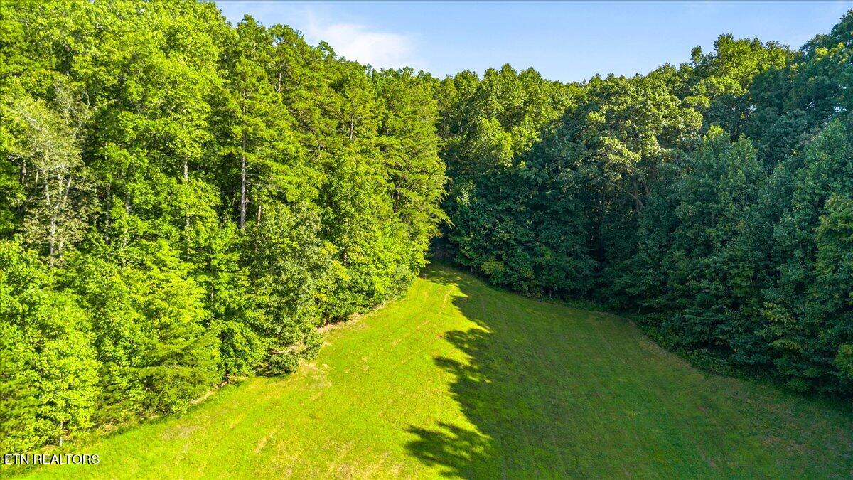 Murrayville Road La Follette, TN 37766 - Photo 13 of 14 13-Murrayville