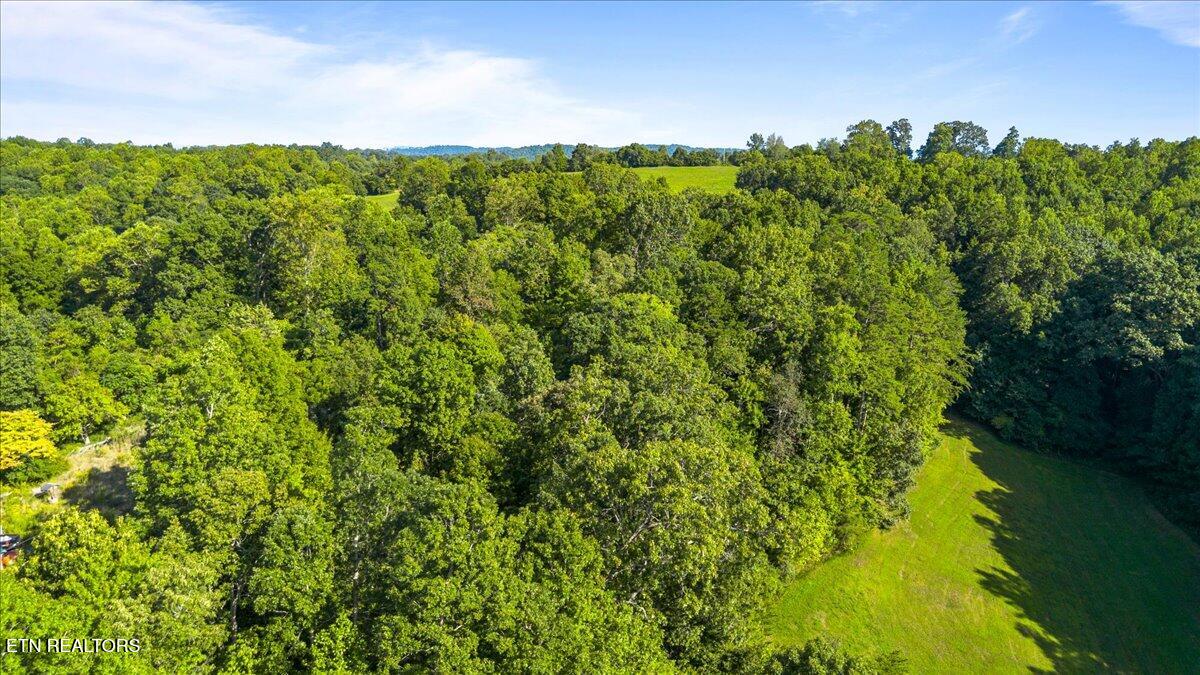 Murrayville Road La Follette, TN 37766 - Photo 14 of 14 14-Murrayville