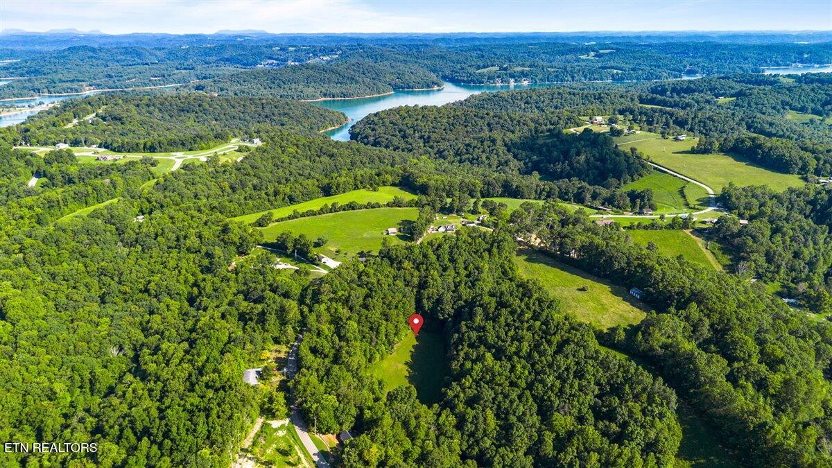 Murrayville Road La Follette, TN 37766 - Photo 4 of 14 04-Murrayville