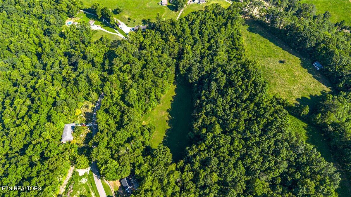 Murrayville Road La Follette, TN 37766 - Photo 7 of 14 07-Murrayville