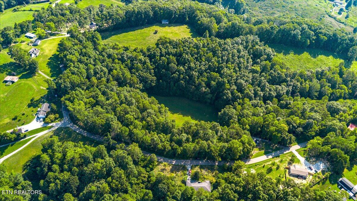 Murrayville Road La Follette, TN 37766 - Photo 8 of 14 08-Murrayville