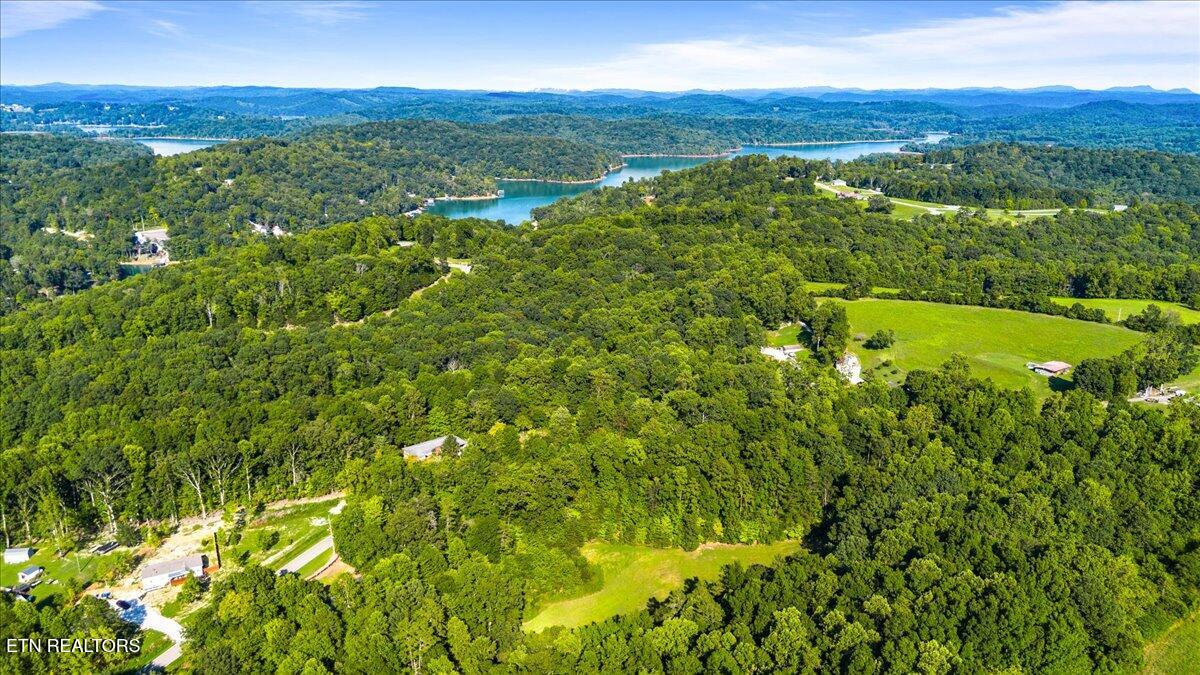 Murrayville Road La Follette, TN 37766 - Photo 10 of 14 10-Murrayville