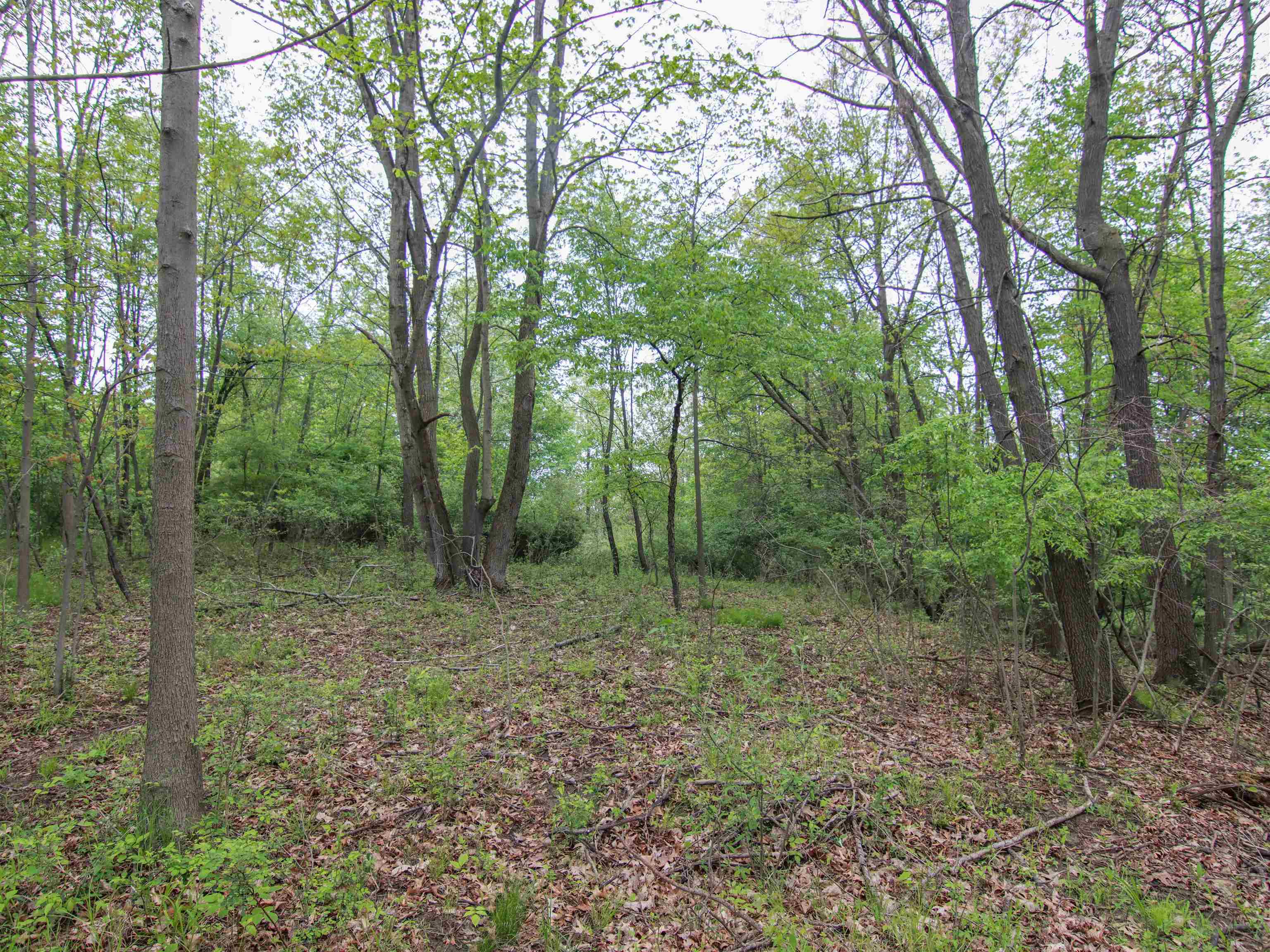 -unit 3 Ledgewood Ravine Trail Fenton, MI 48430 - Photo 3 of 10