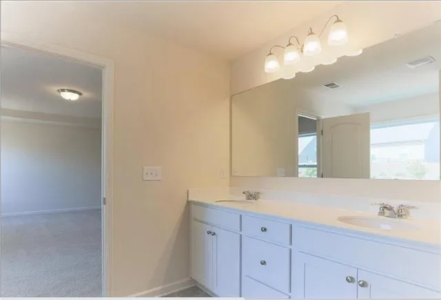 a bathroom with a sink a large mirror and vanity