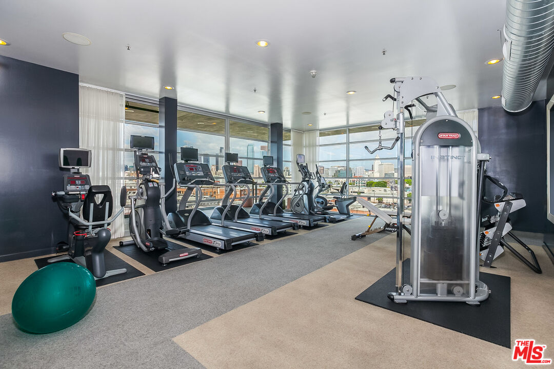 530 South Hewitt Street, Unit 425 Los Angeles, CA 90013 - Photo 19 of 22 a view of a room with gym equipment