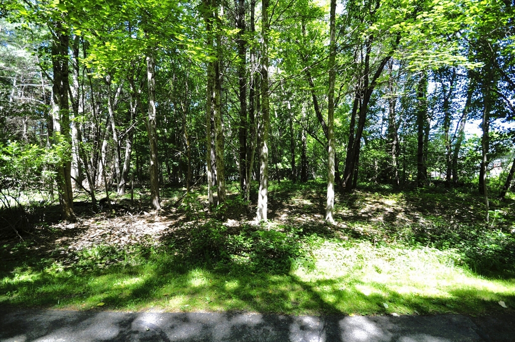 0 River Rd Extension East Bridgewater, MA 02333 - Photo 4 of 11