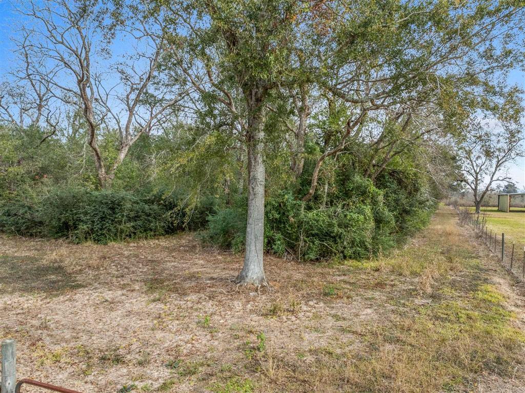 5010 West Wilbert D Rochelle Avenue Jennings, LA 70546 - Photo 6 of 11