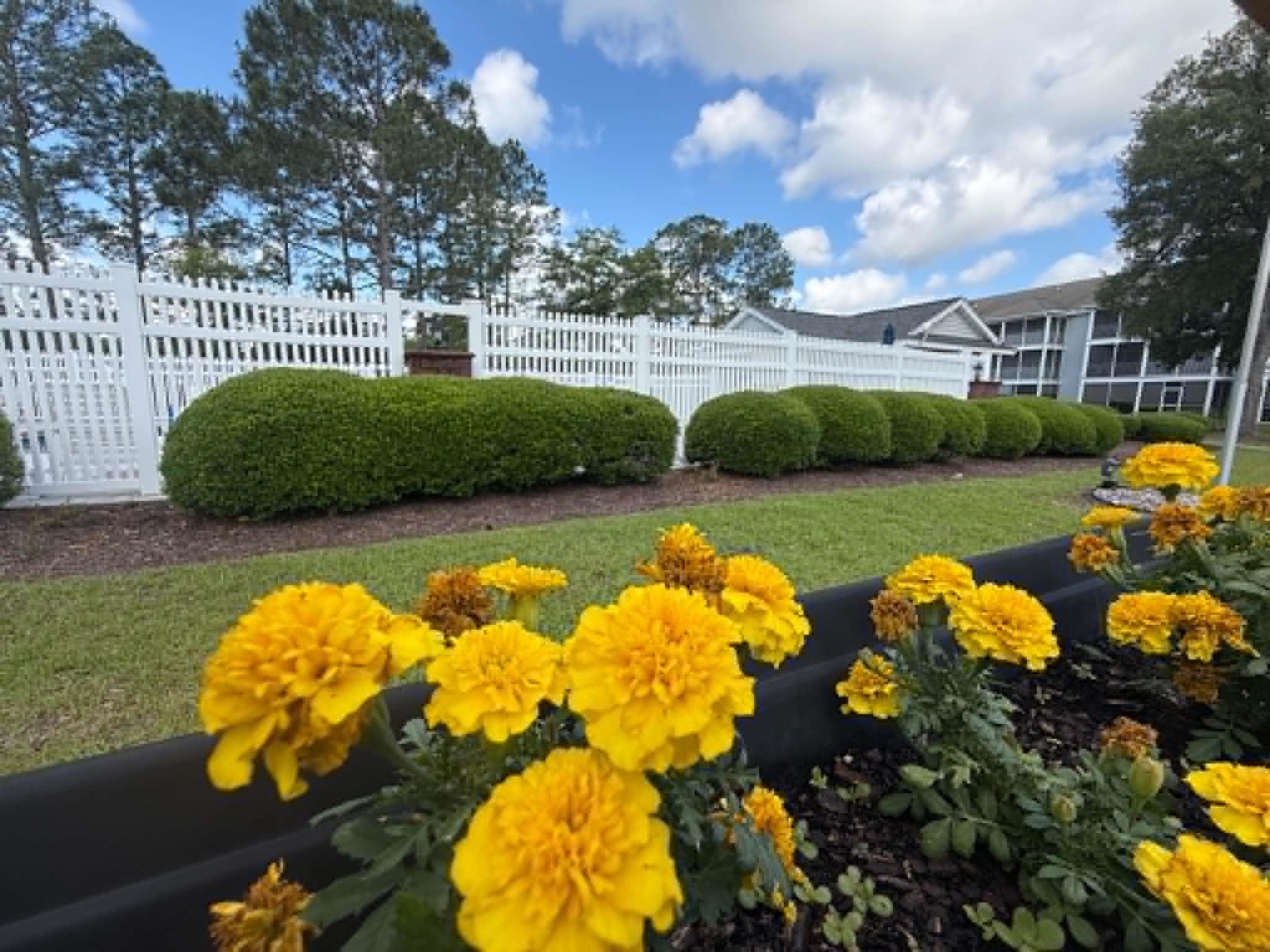 4814 Innisbrook Court Myrtle Beach, SC 29579 - Photo 36 of 37