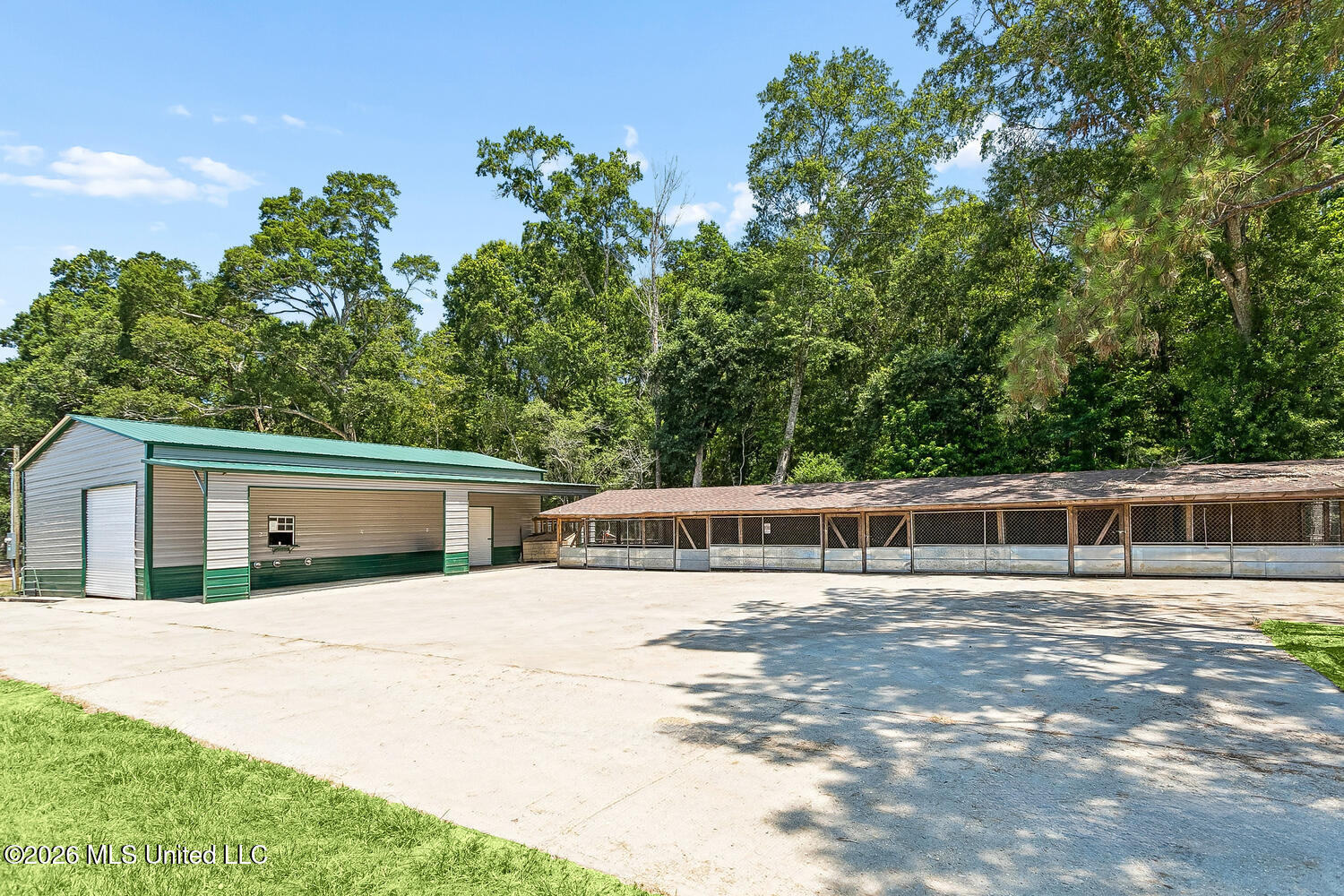 137 Sugar Creek Road Carriere, MS 39426 - Photo 6 of 59 39