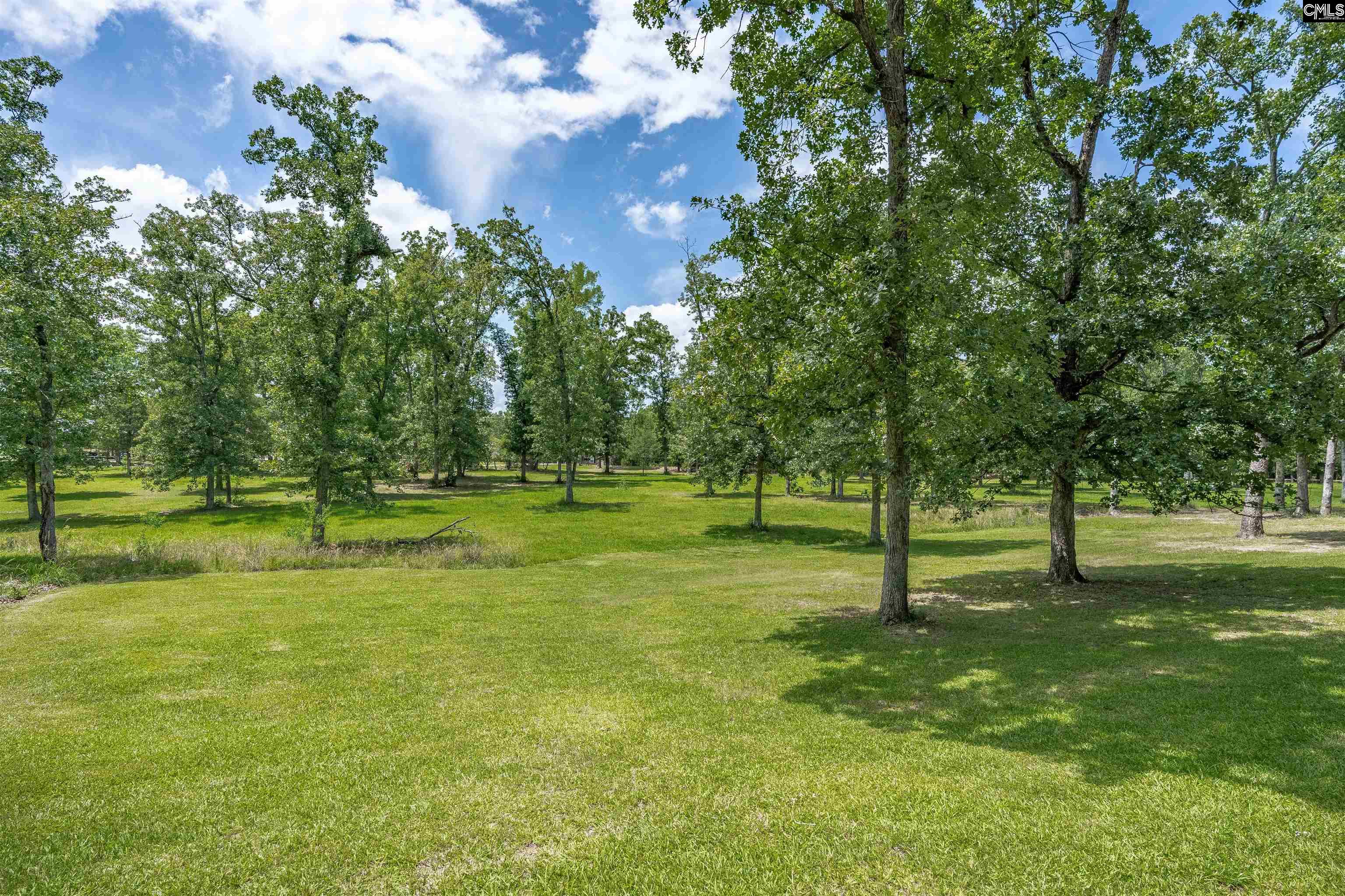 165 St Thomas Church Road Chapin, SC 29036 - Photo 78 of 99