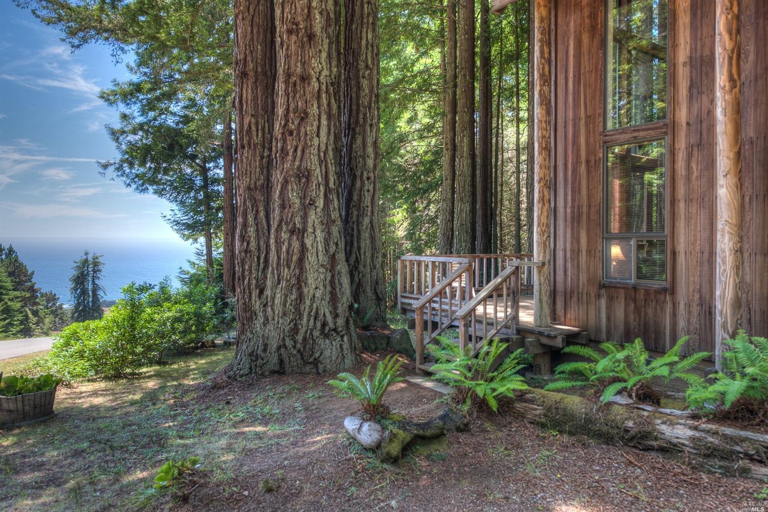 399 Packet Close The Sea Ranch, CA 95497 - Photo 1 of 1 Forested ocean view home.