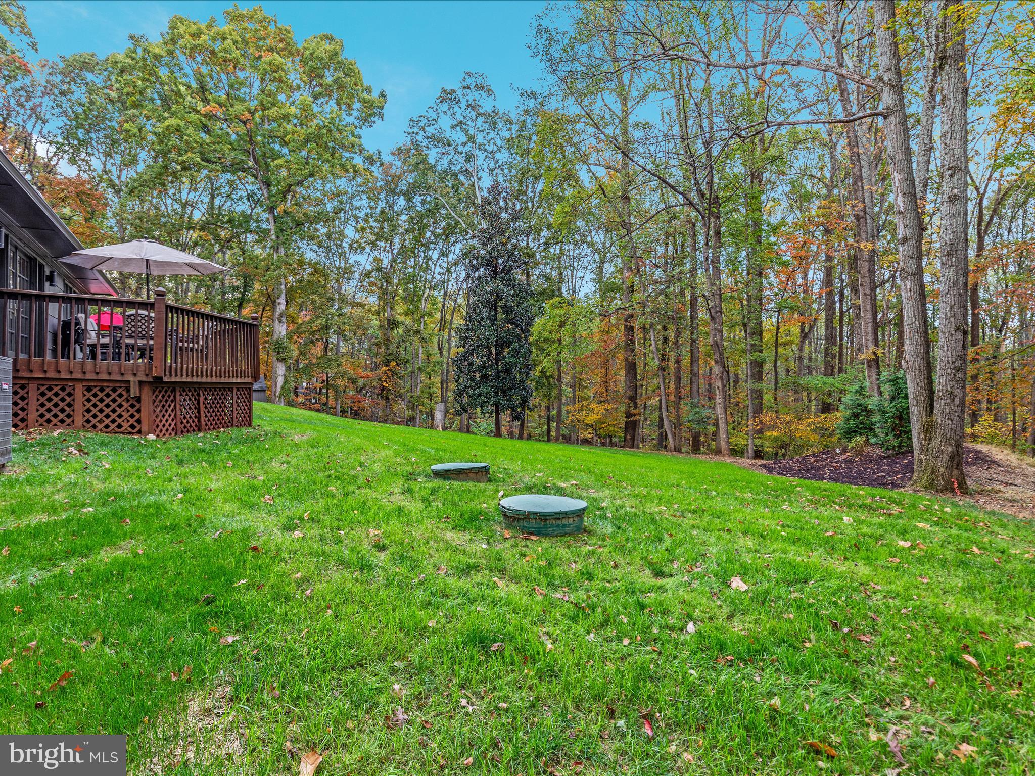 7261 Baldwin Ridge Road Warrenton, VA 20187 - Photo 49 of 76 a view of a garden with trees