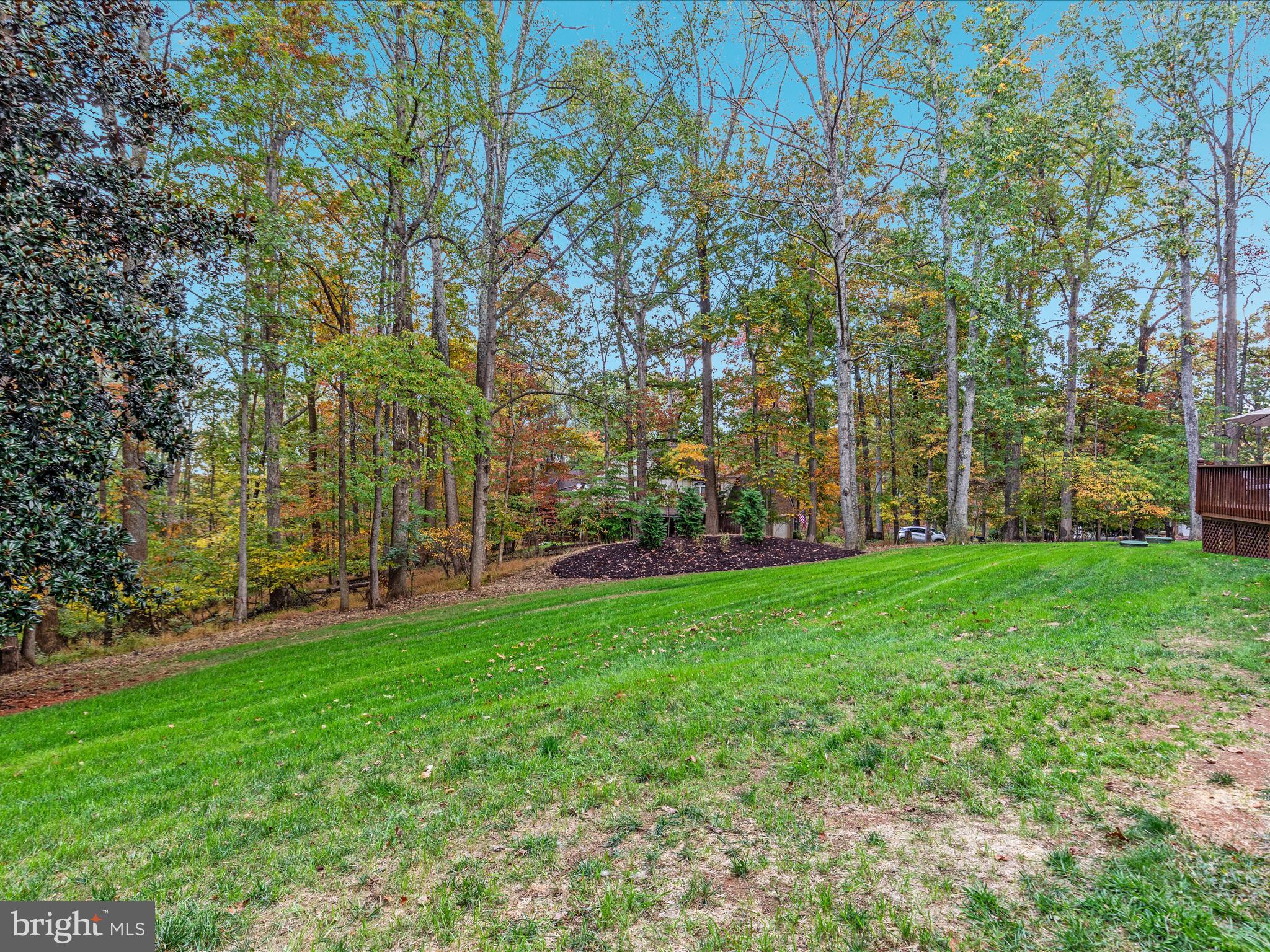 7261 Baldwin Ridge Road Warrenton, VA 20187 - Photo 50 of 76 a view of a backyard with large trees